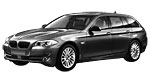 BMW F11 P2B1D Fault Code
